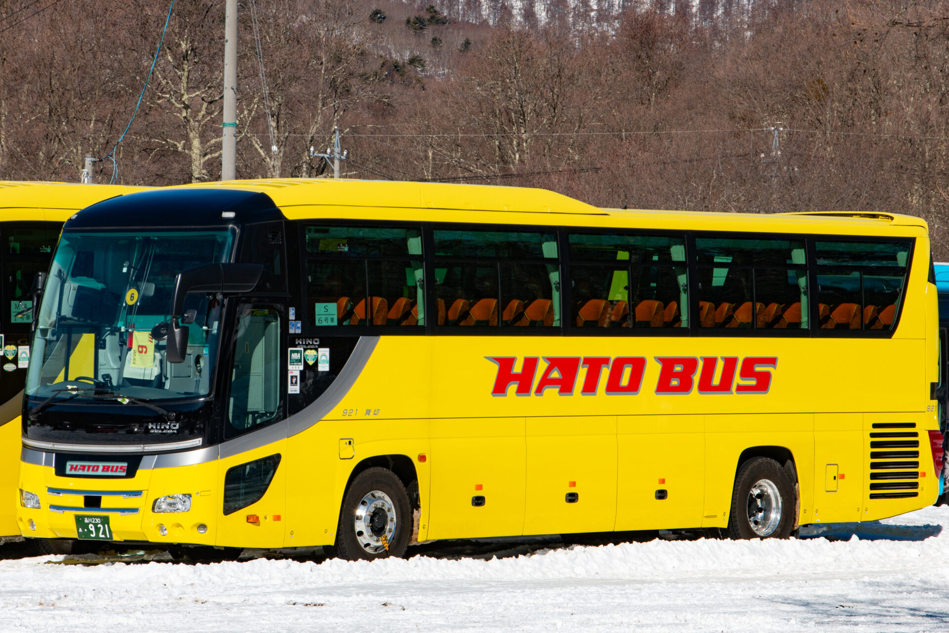 はとバス 品川230あ921 | わくわくバス