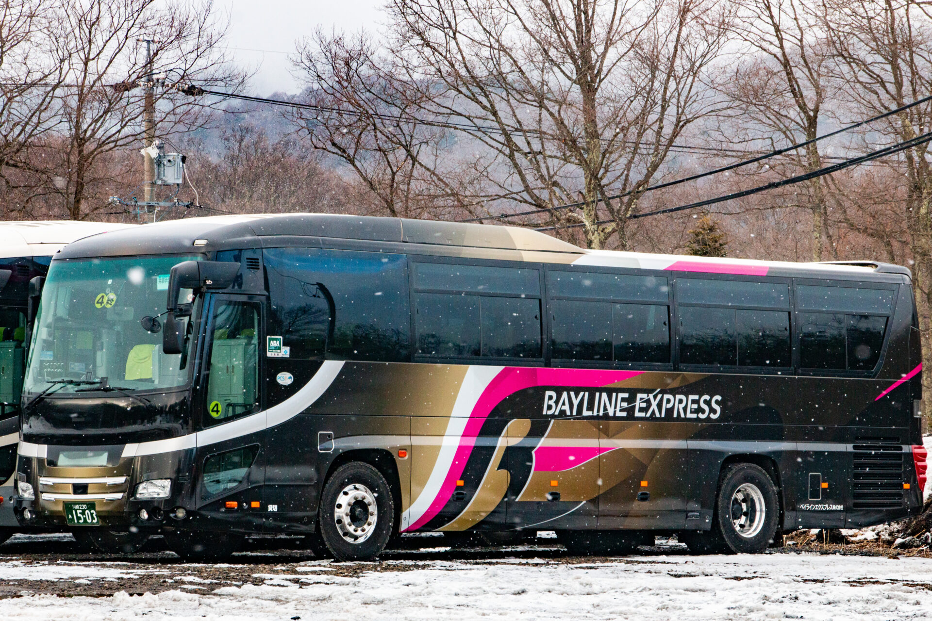 ベイラインエクスプレス 川崎230あ1503 | わくわくバス